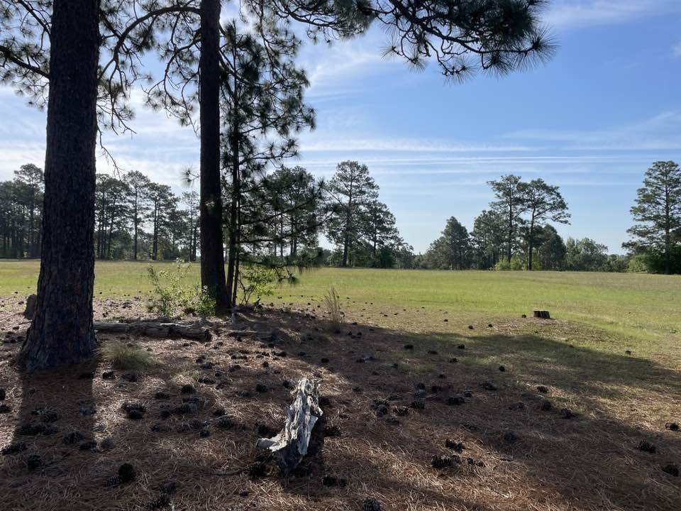 walking near me in Hope Mills Golf Course Park in spring