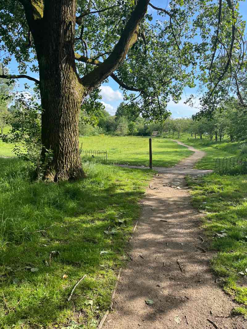 walking near me in Knightswood Park in spring