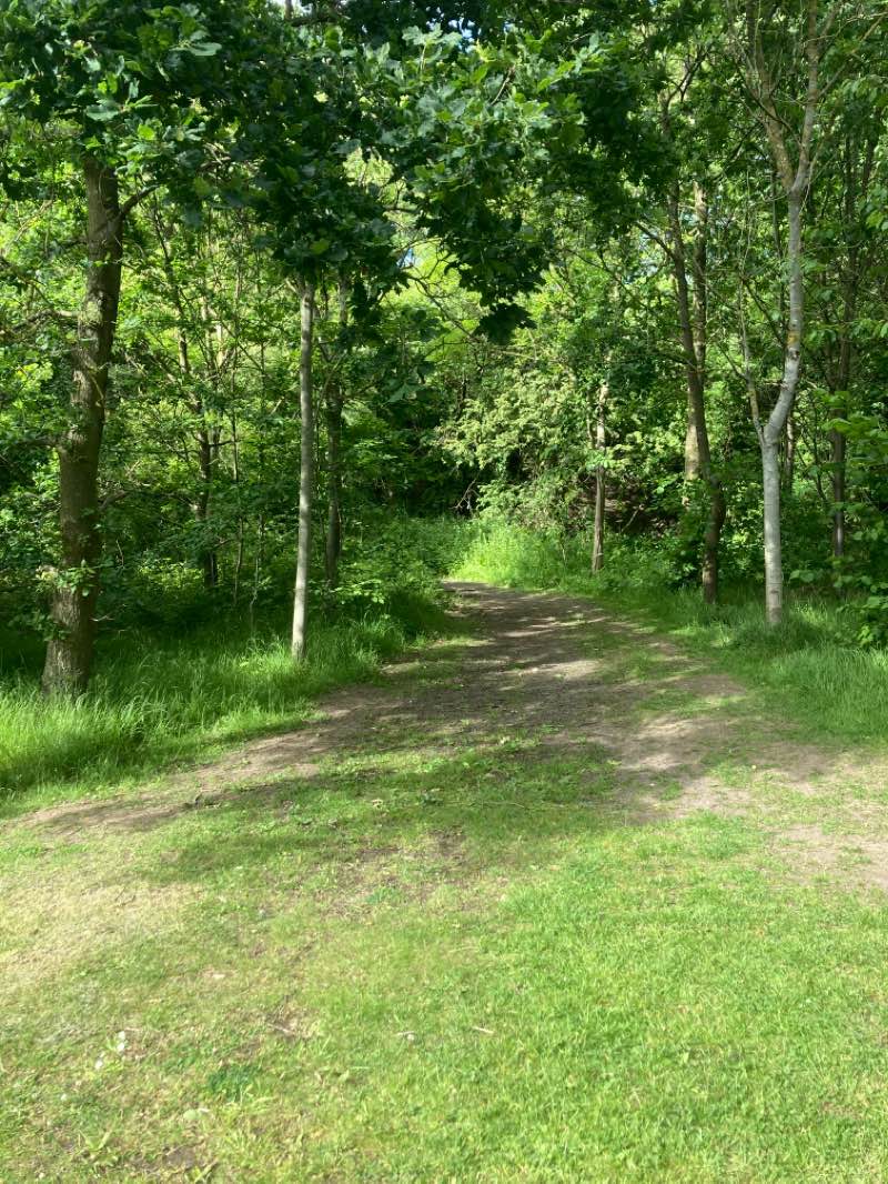 walking near me in Billingham Beck Valley Country Park in winter