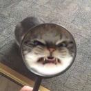 仙女又开始卖蛋糕了