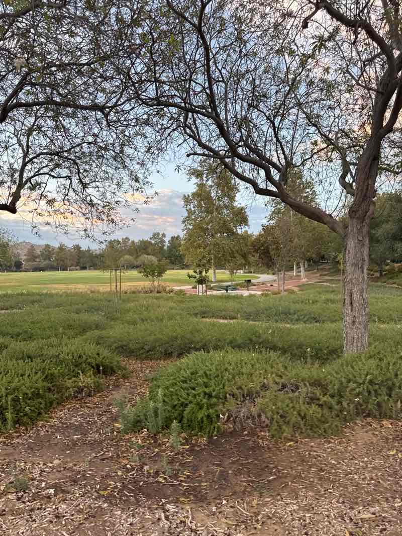 walking near me in Liberty Park in summer
