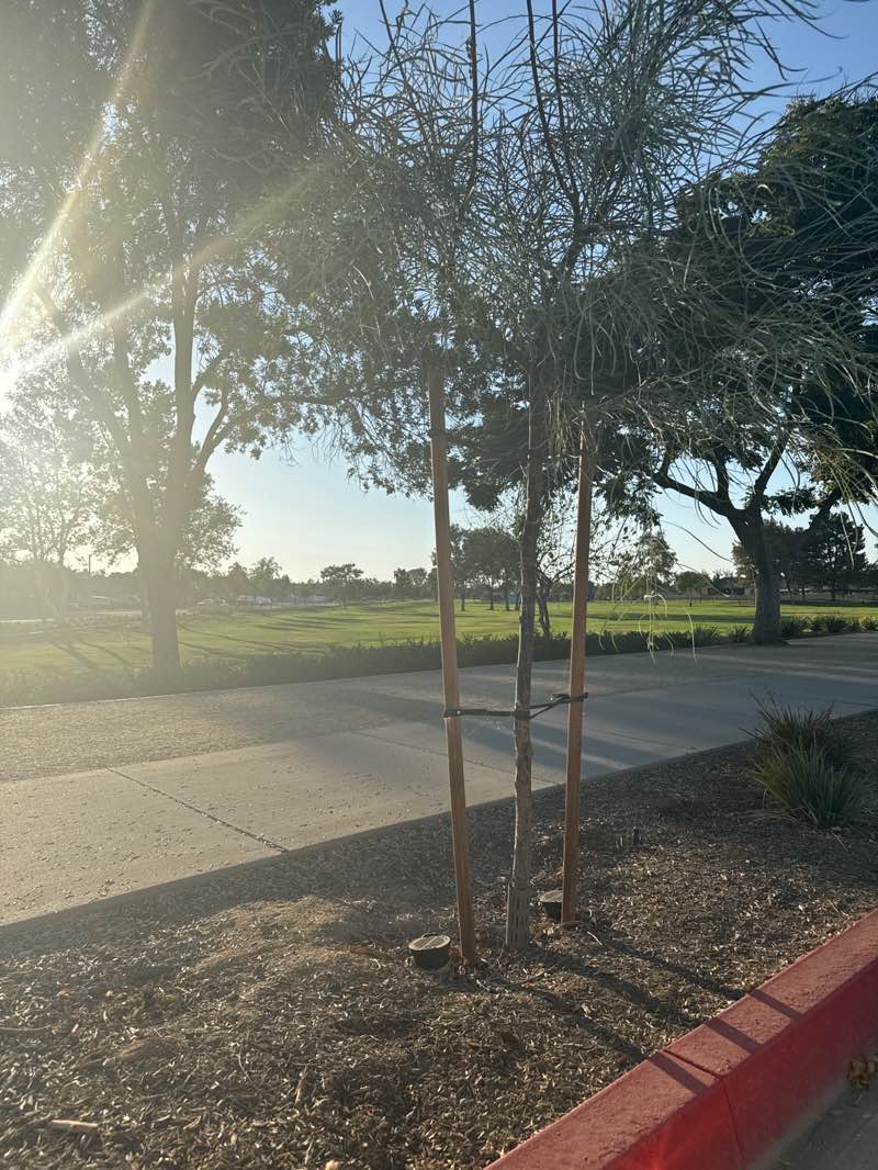 walking near me in Paragon Park in summer