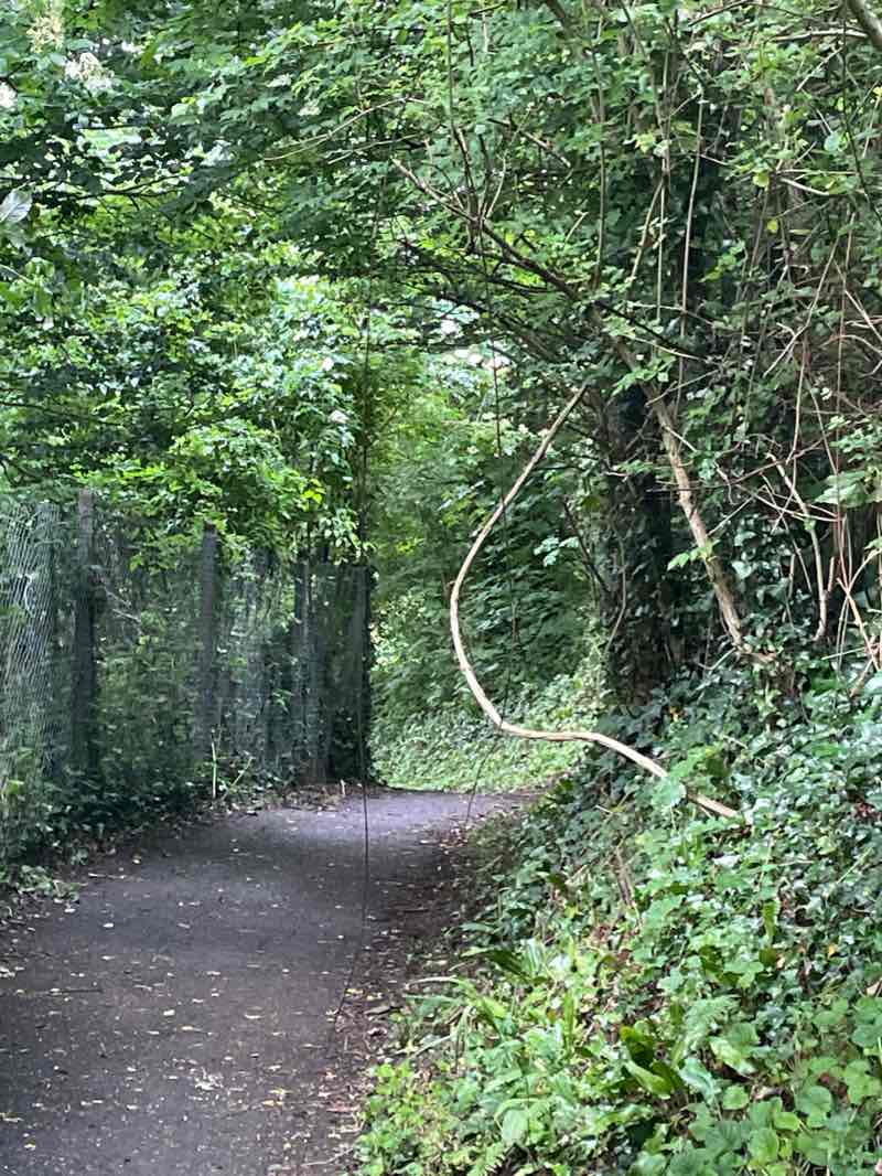 walking near me in Watchet Memorial Ground in winter