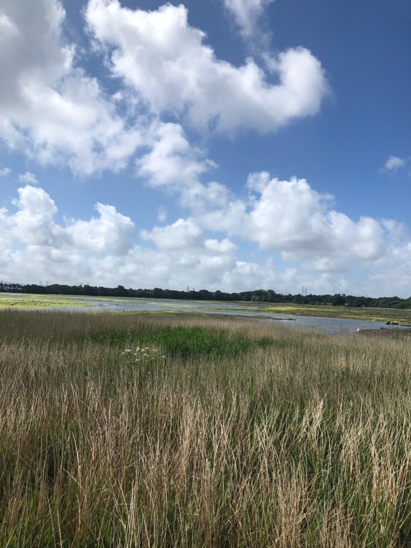 walking near me in Upton Country Park in winter