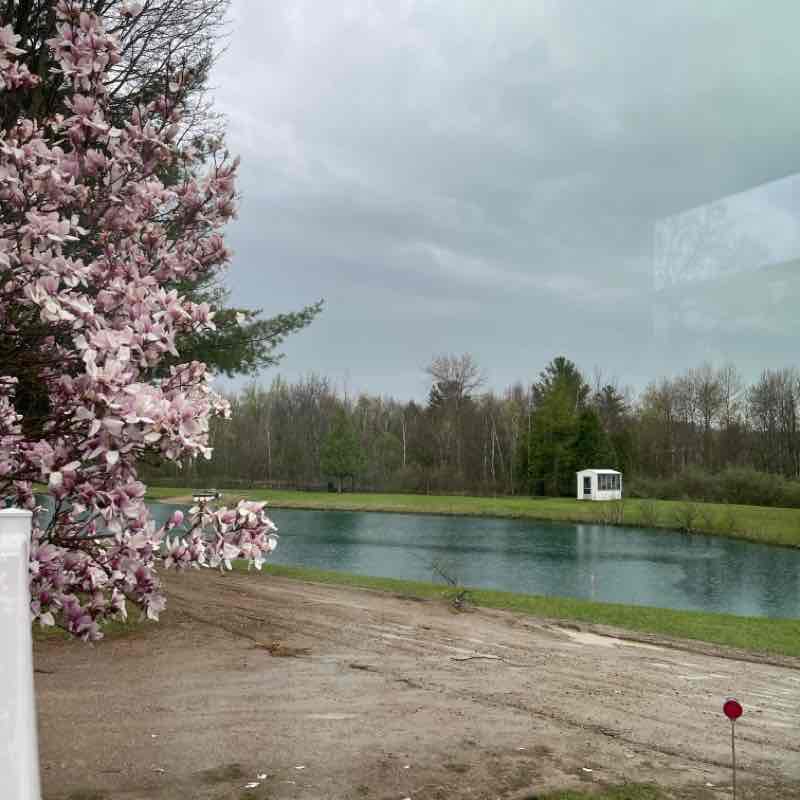 Motivated Mamas Barbara post image