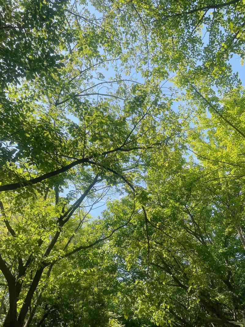 walking near me in Gocheok Neighborhood Park in winter
