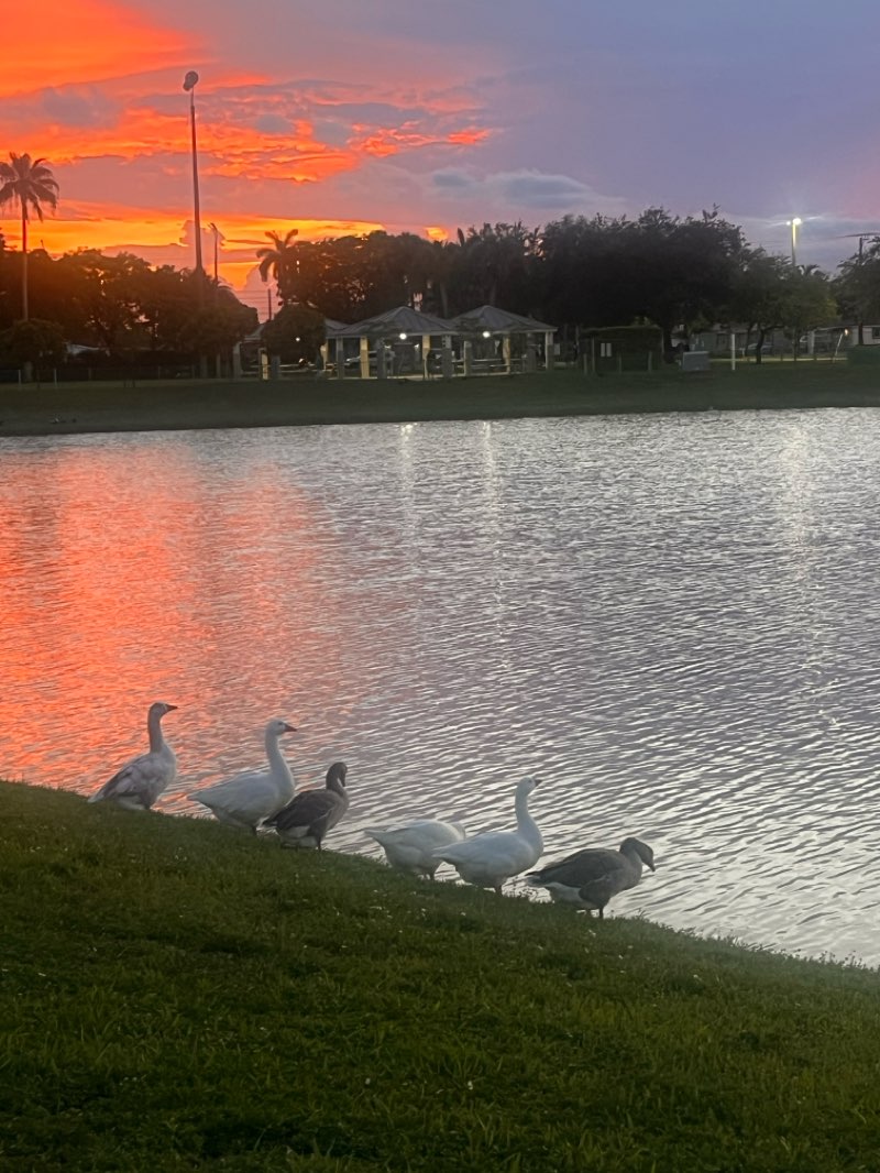 walking near me in McDonald Park in summer