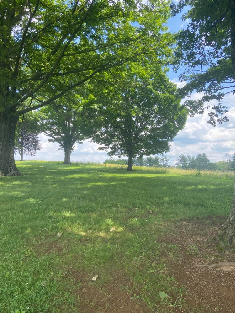 walking near me in Valley Forge National Historical Park in winter
