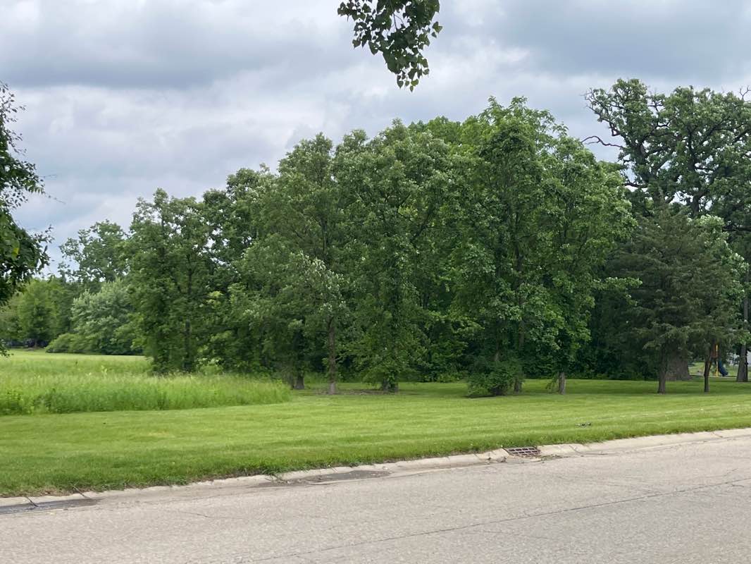 walking near me in Old Oaks Park in winter