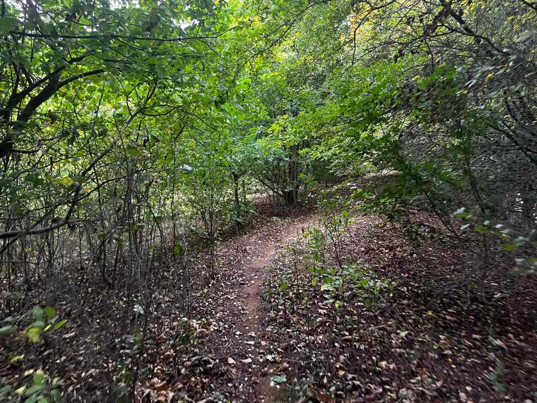 walking near me in Stanwell Drive Park in winter