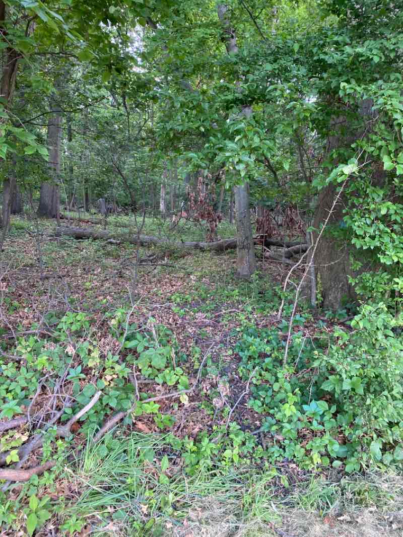 walking near me in Pelham Bay Park in winter