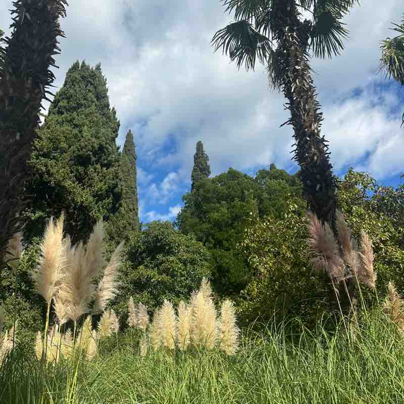 🍀🌸Татьяна 🍀🌸🦔 post 3