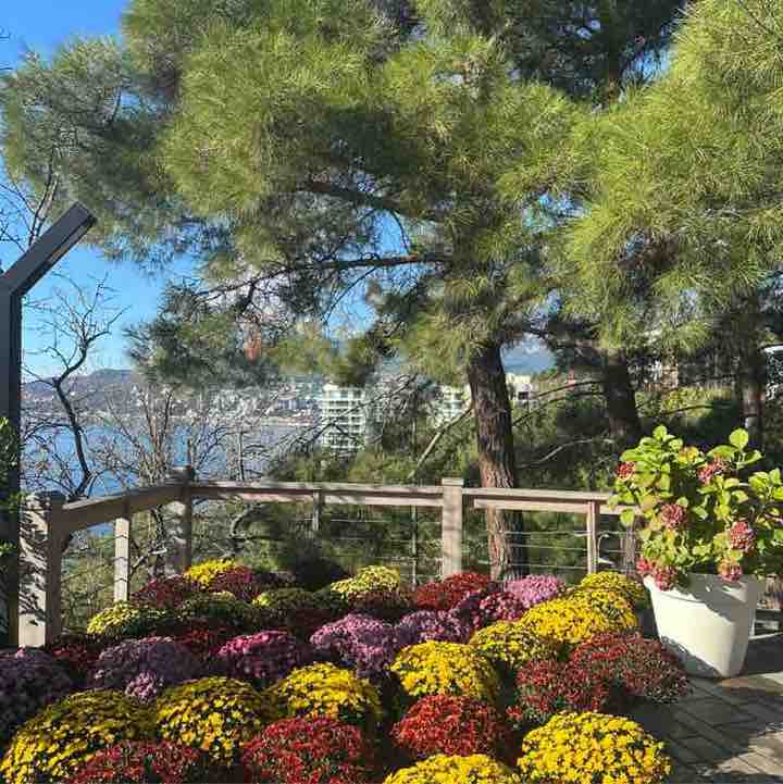 🍀🌸Татьяна 🍀🌸🦔 post 1