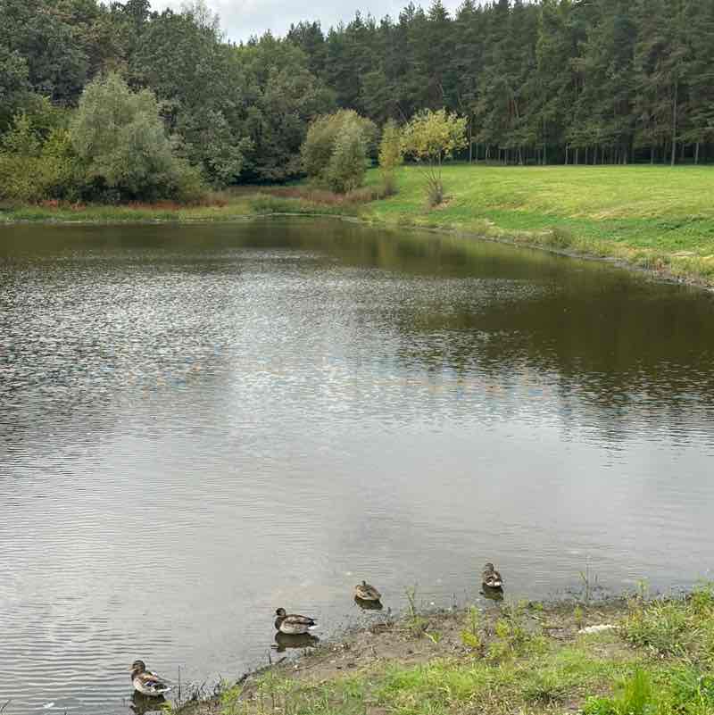 🍀🌸Татьяна 🍀🌸🦔 post 1