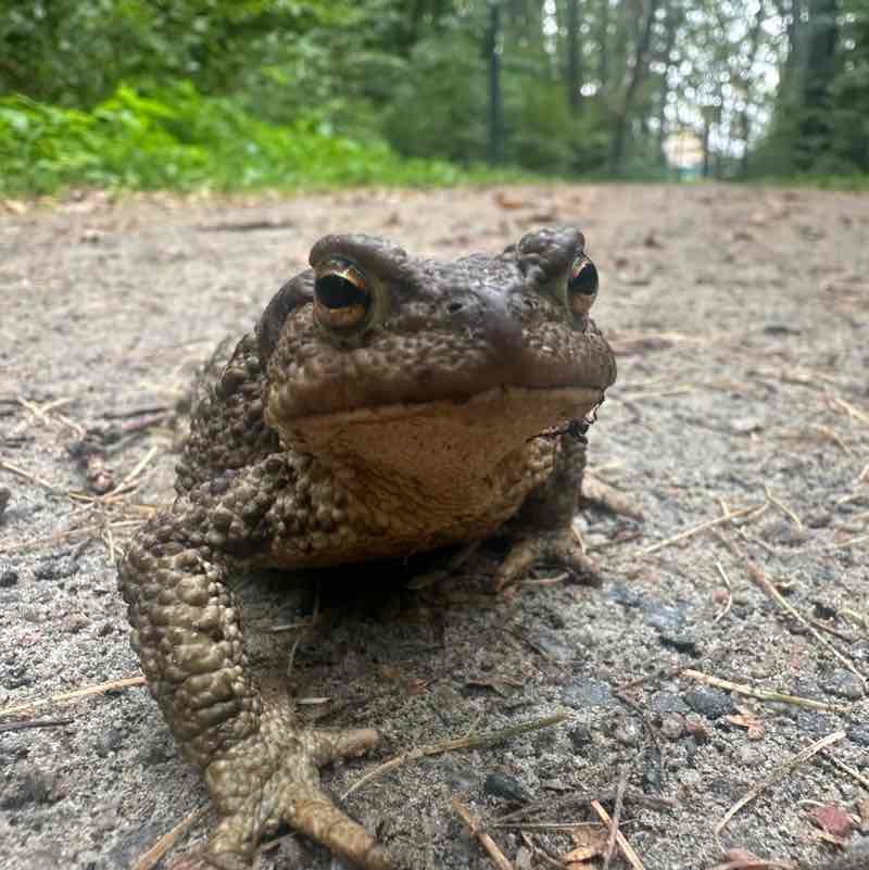 🍀🌸Татьяна 🍀🌸🦔 post 2