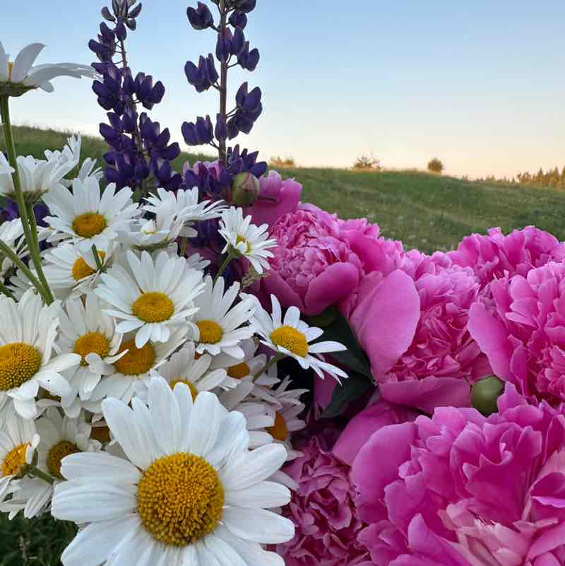 🍀🌸Татьяна 🍀🌸🦔 post 1