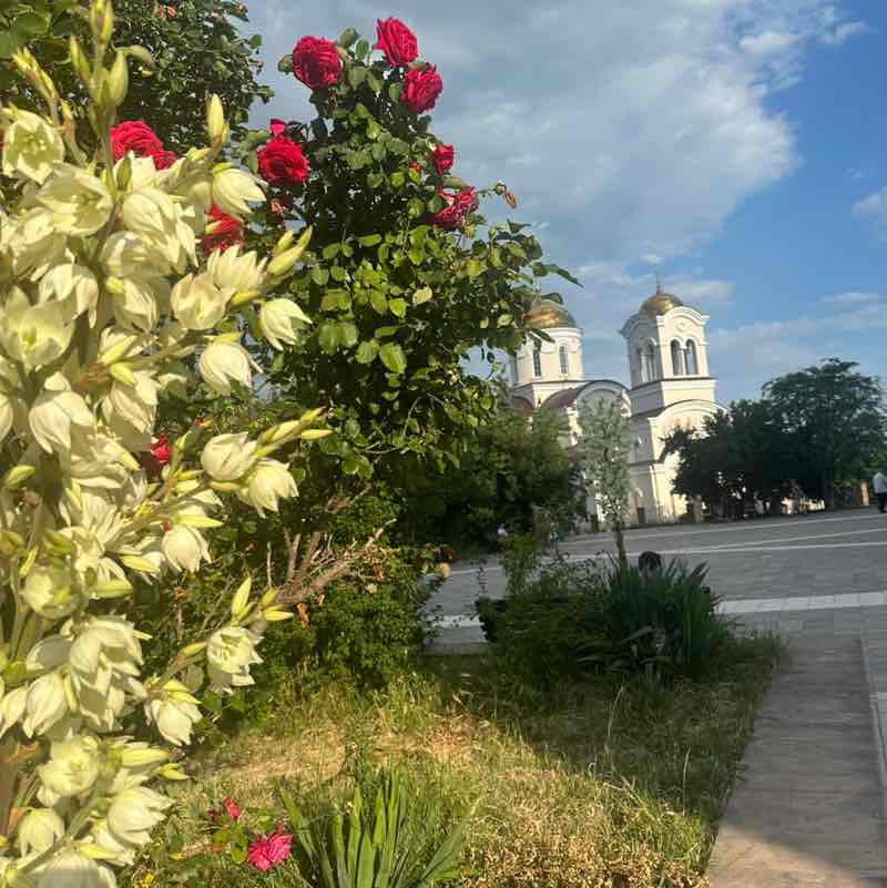 🍀🌸Татьяна 🍀🌸🦔 post 2