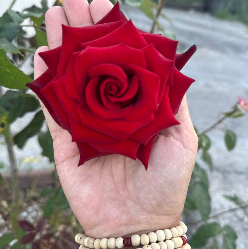 🍀🌸Татьяна 🍀🌸🦔 post 3