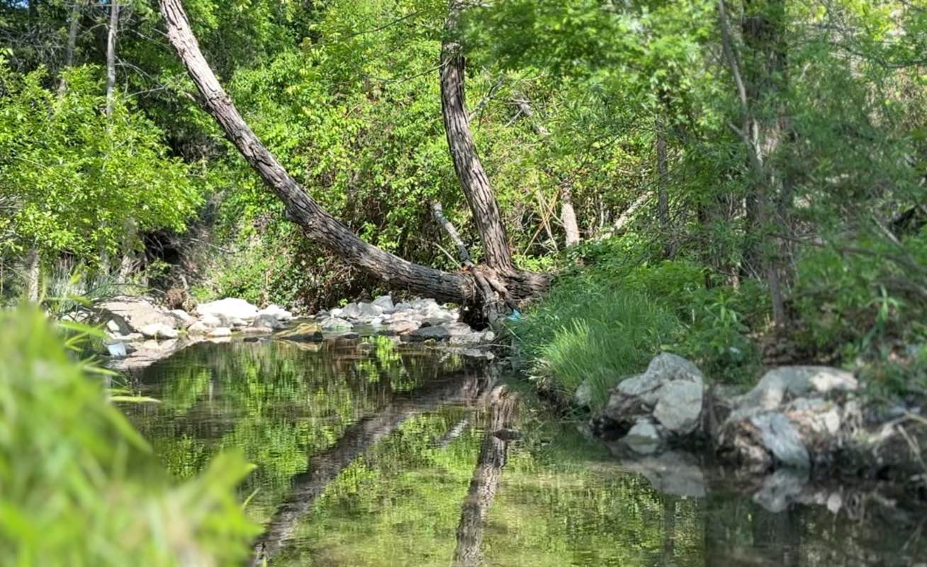 walking near me in Hillcrest Neighborhood Park in spring