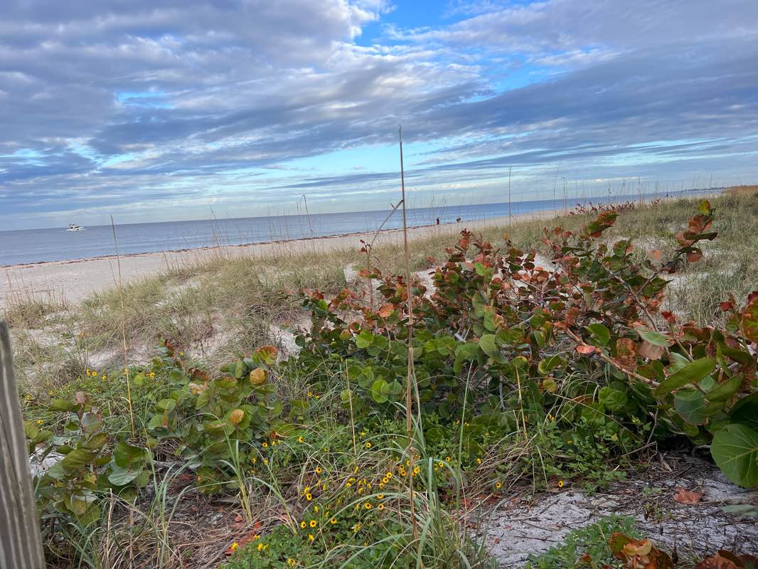 walking near me in North Jetty Park in winter