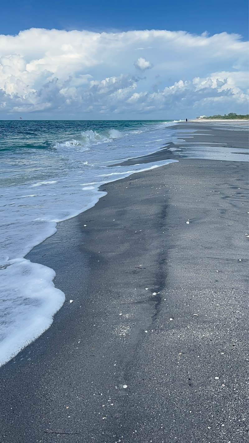 walking near me in Stump Pass Beach State Park in winter