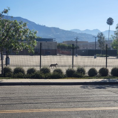 marie-soleil.ch post 1