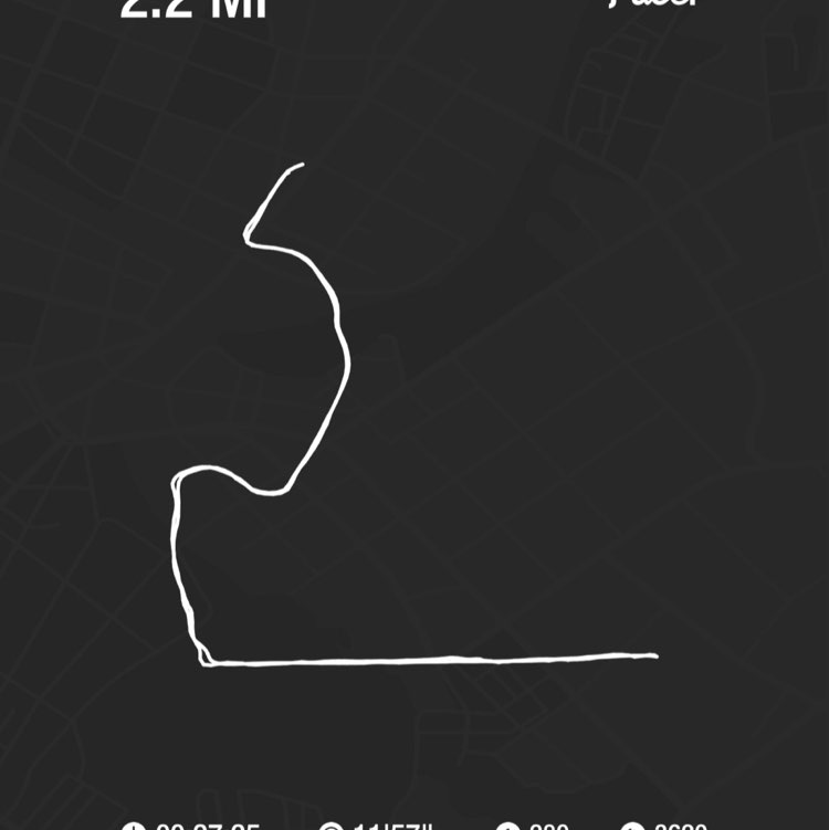 Lyndsey Lyne Warrior post 1