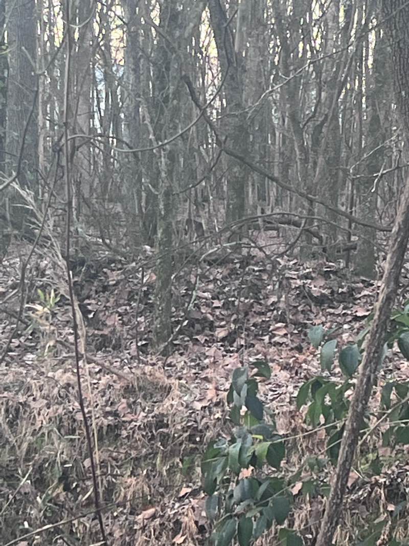 walking near me in Walker Branch Greenway in winter