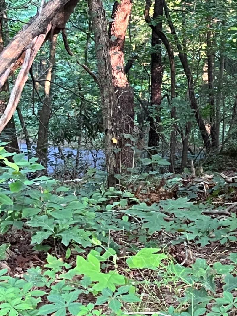 walking near me in Dittmer-Watts Nature Trail Park in winter