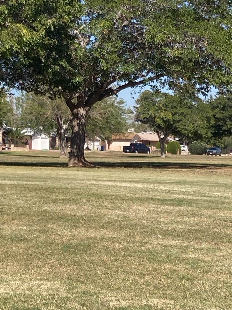 walking near me in Veterans Park in autumn