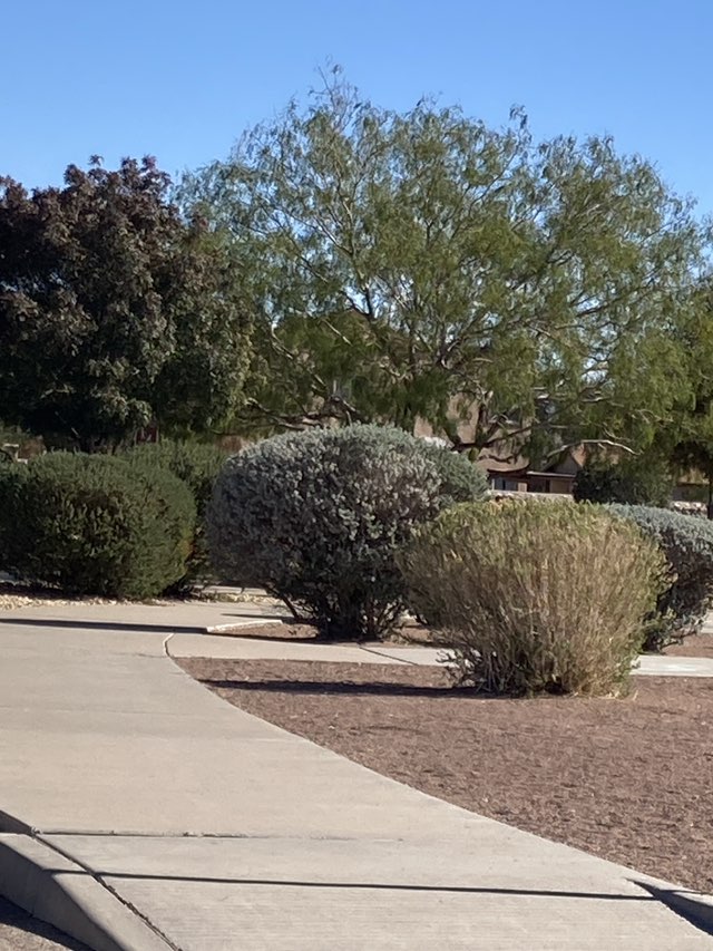 walking near me in Marcus Uribe Park in autumn