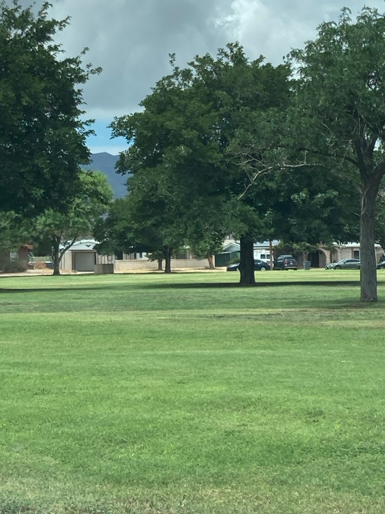 walking near me in Arlington Park in summer