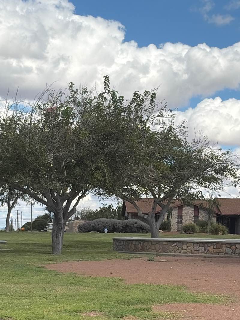 walking near me in Vista del Valle Park in autumn