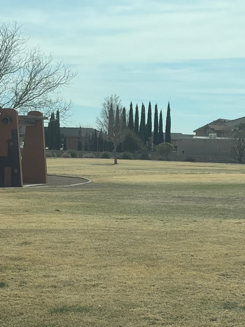 walking near me in Marcus Uribe Park in winter