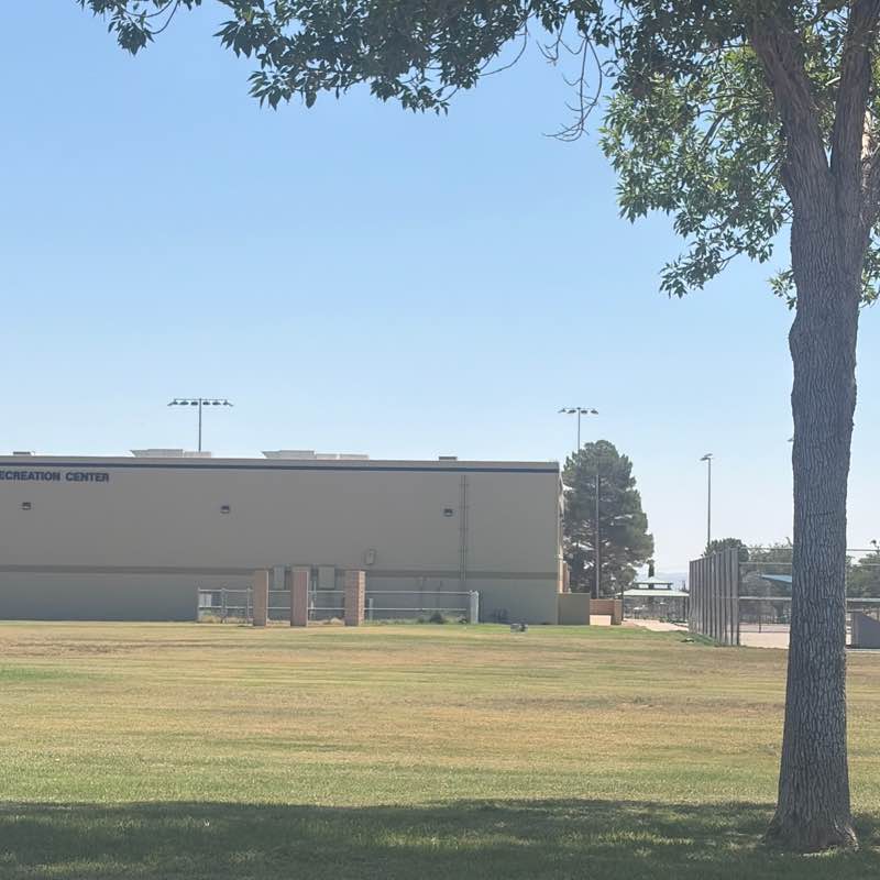 Sylvia MS post 1