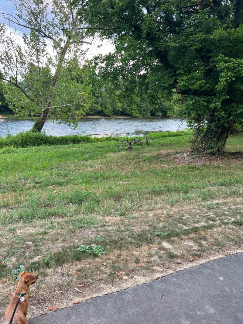 walking near me in Cloud Park in winter