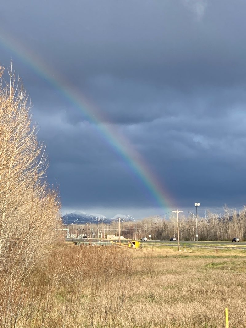 walking near me in McKechnie Park in winter