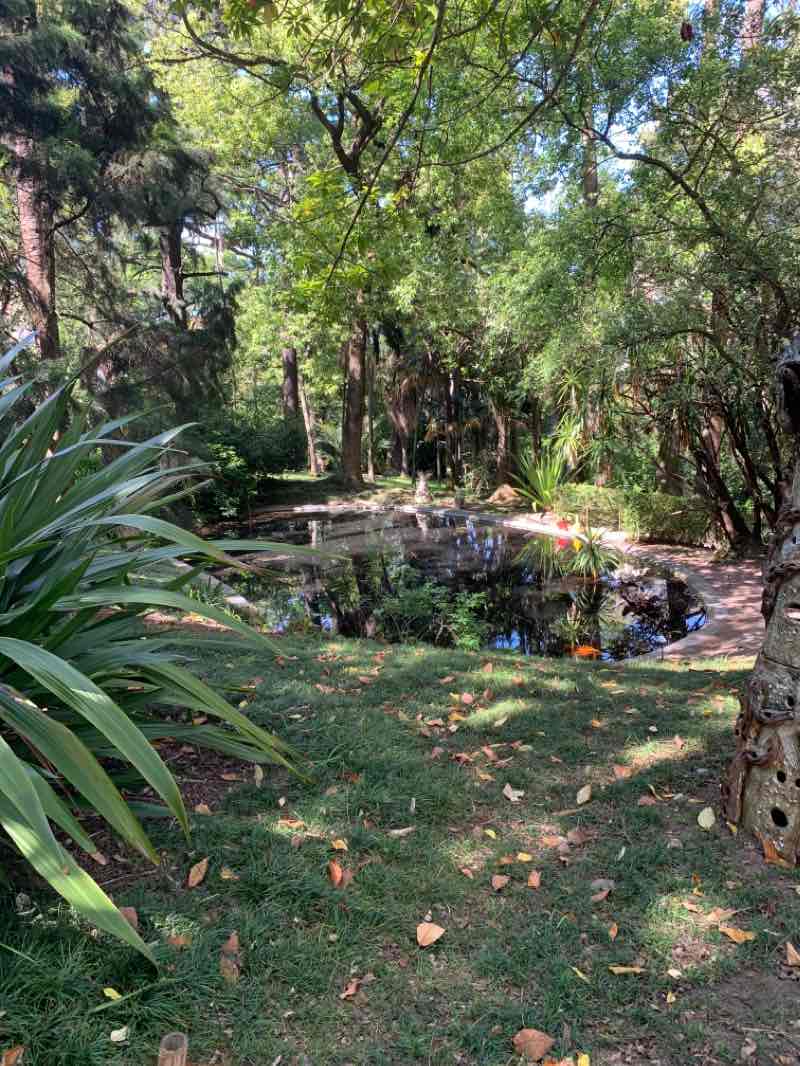 walking near me in Jardim de São Pedro de Alcântara in winter