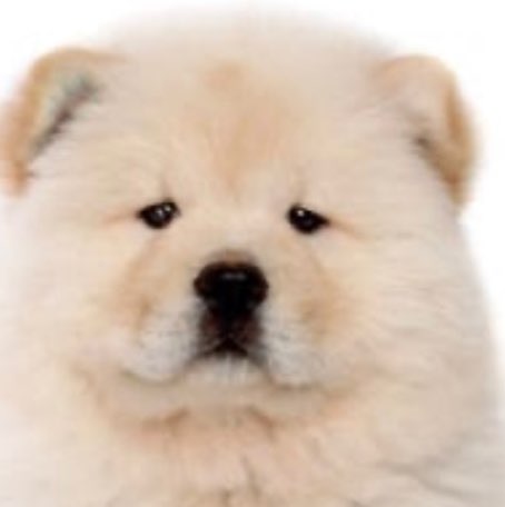 달려라엄마 profile