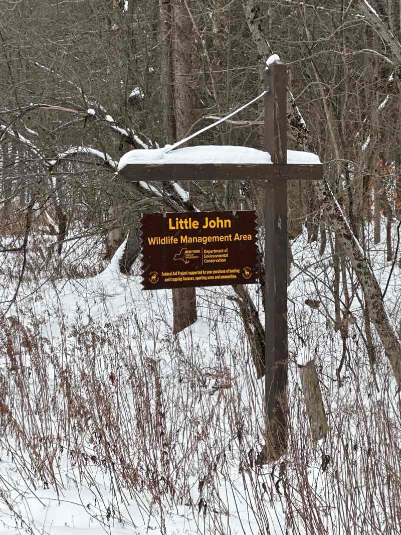 walking near me in Littlejohn Wildlife Management Area in winter