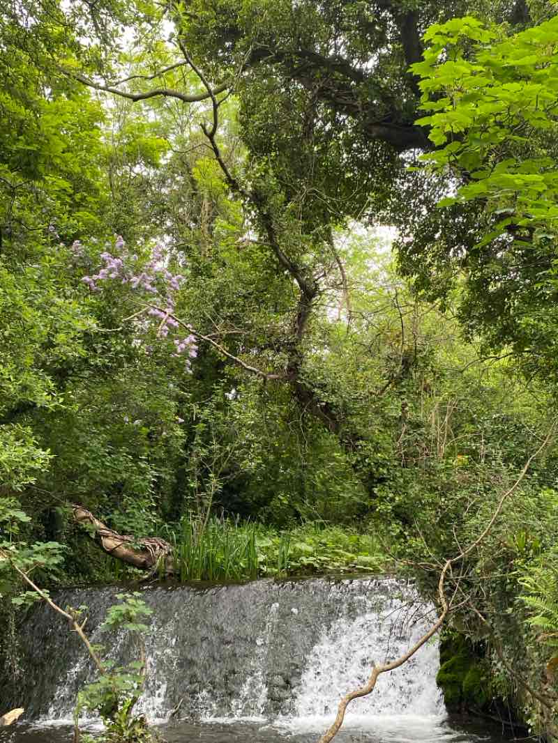 walking near me in Rathcoole Park in winter