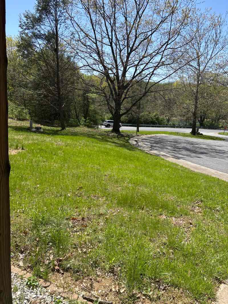 walking near me in Codorus State Park in spring
