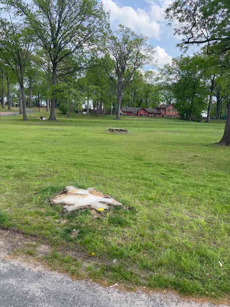 walking near me in Irvington Park in spring