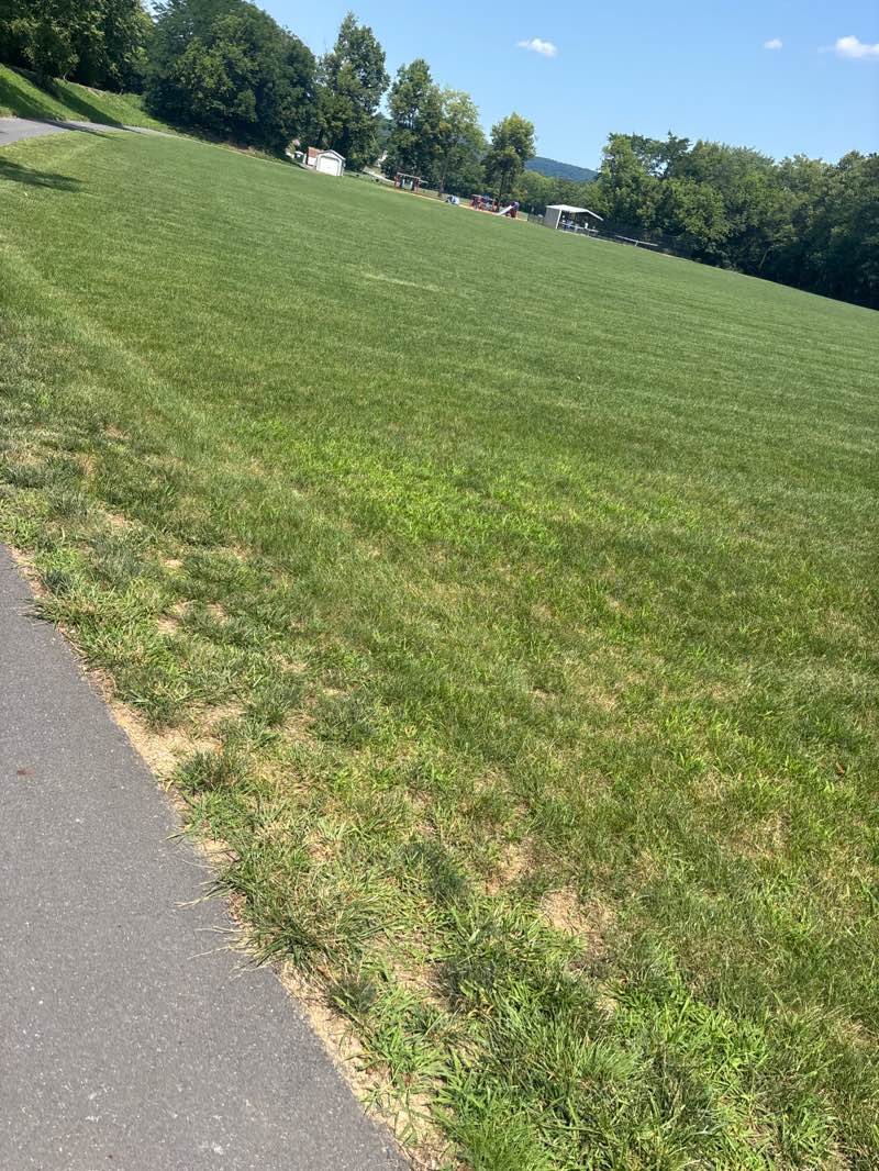 walking near me in Hidden Creek Park in summer