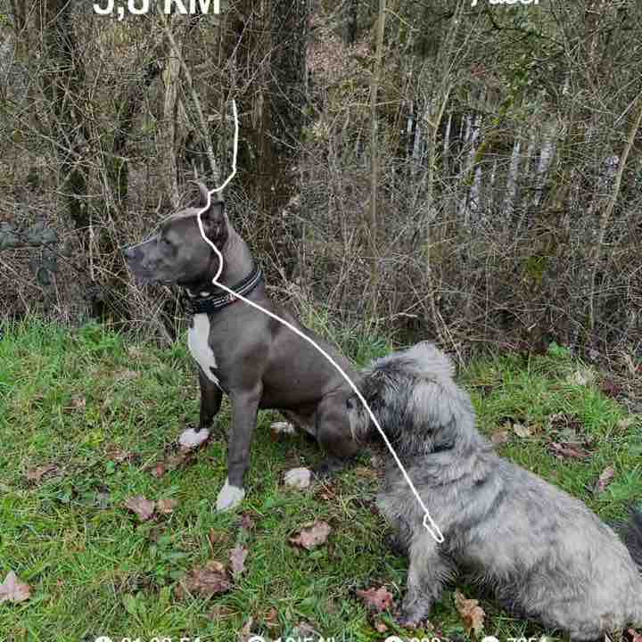 Charline Thebault post 1