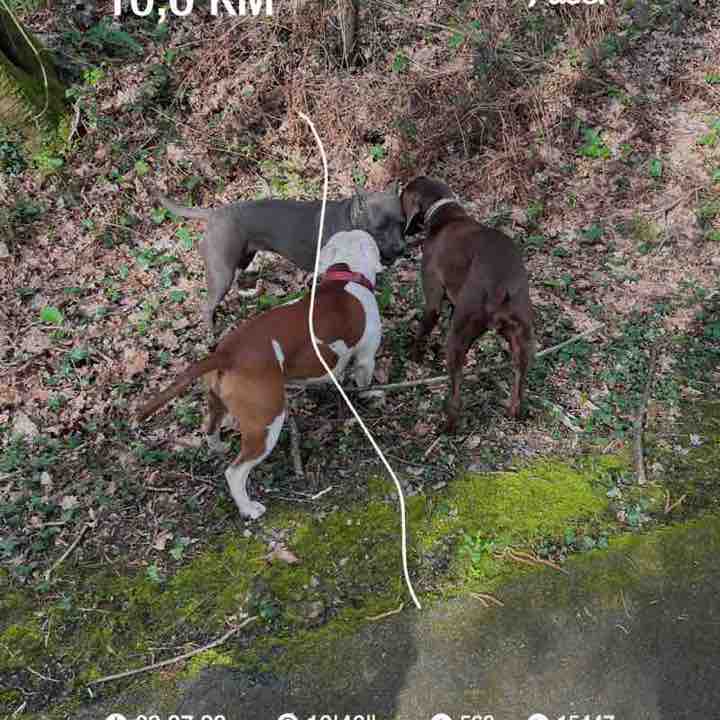 Charline Thebault post 1