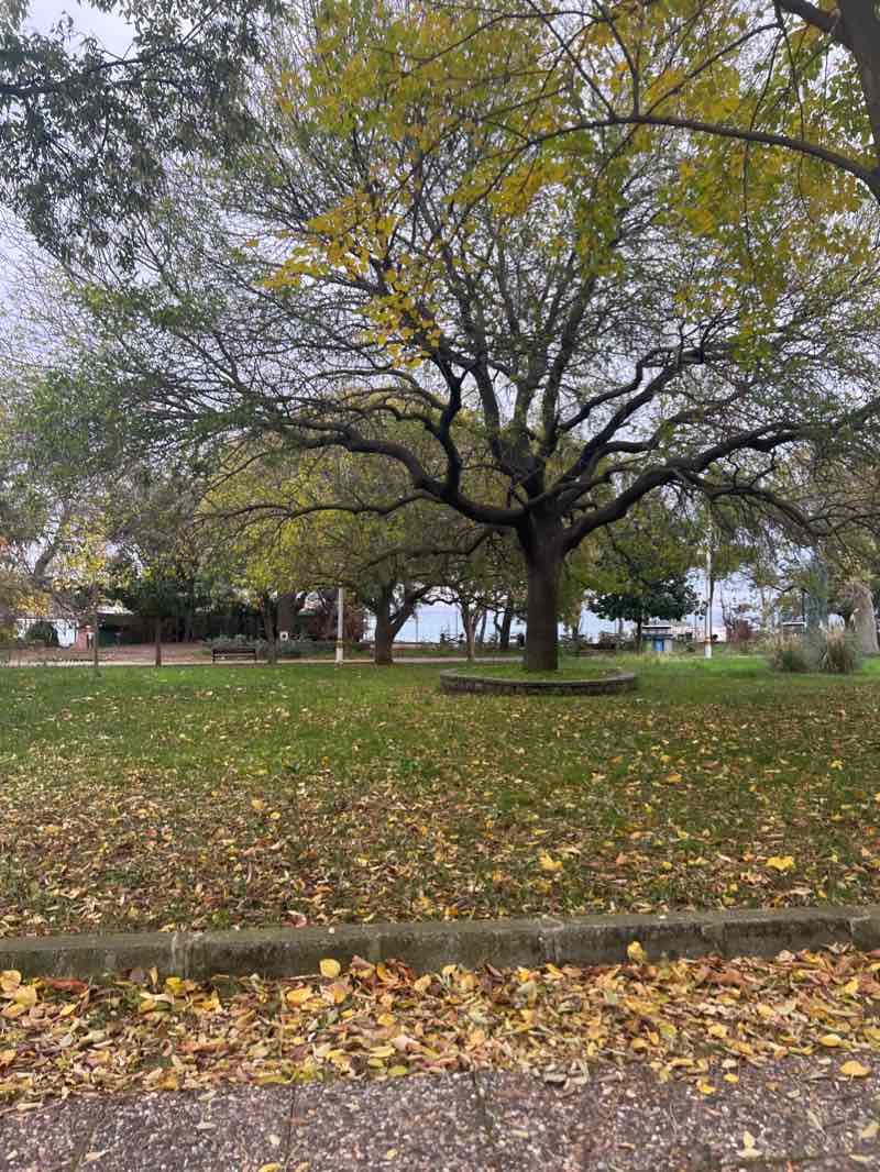 walking near me in Fenerbahçe Parkı in winter