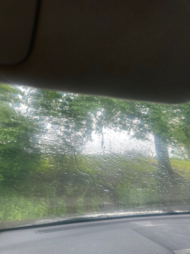 walking near me in Former Towpath Elementary School in spring