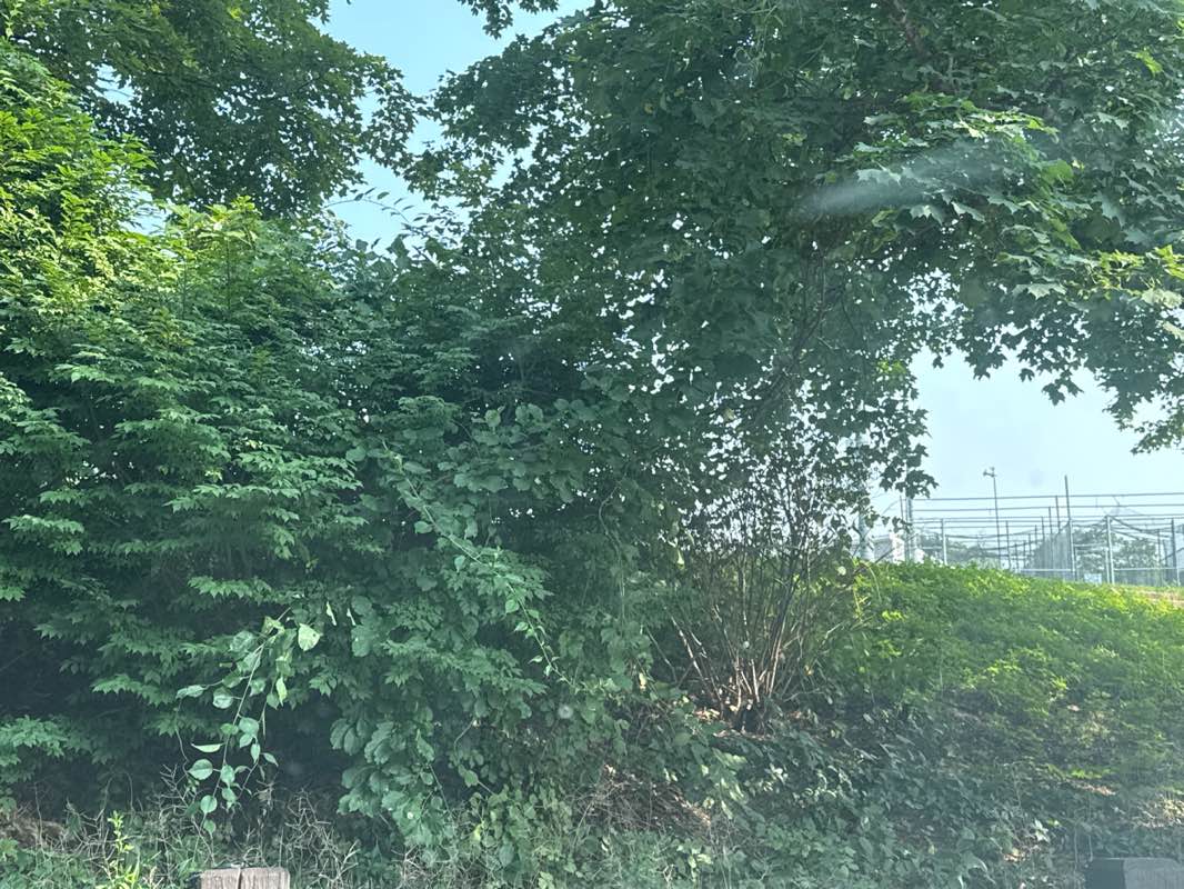 walking near me in Sperry Park in autumn