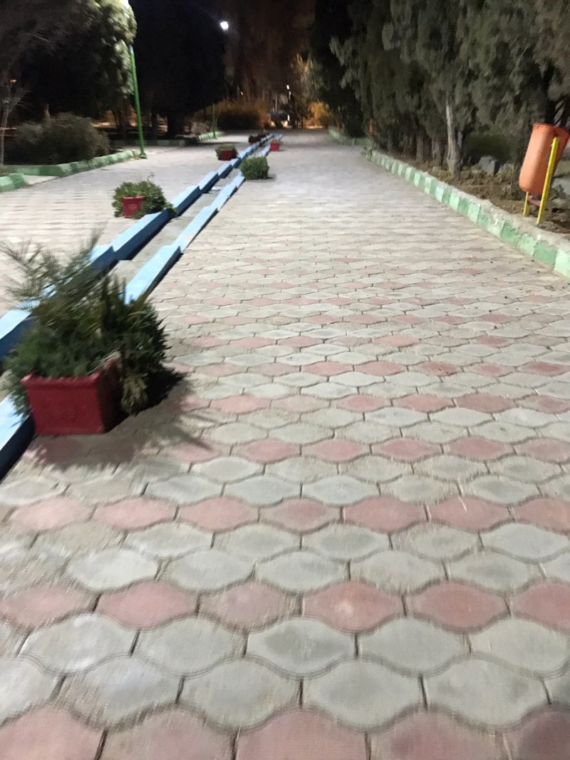 walking near me in پارک ملت in winter